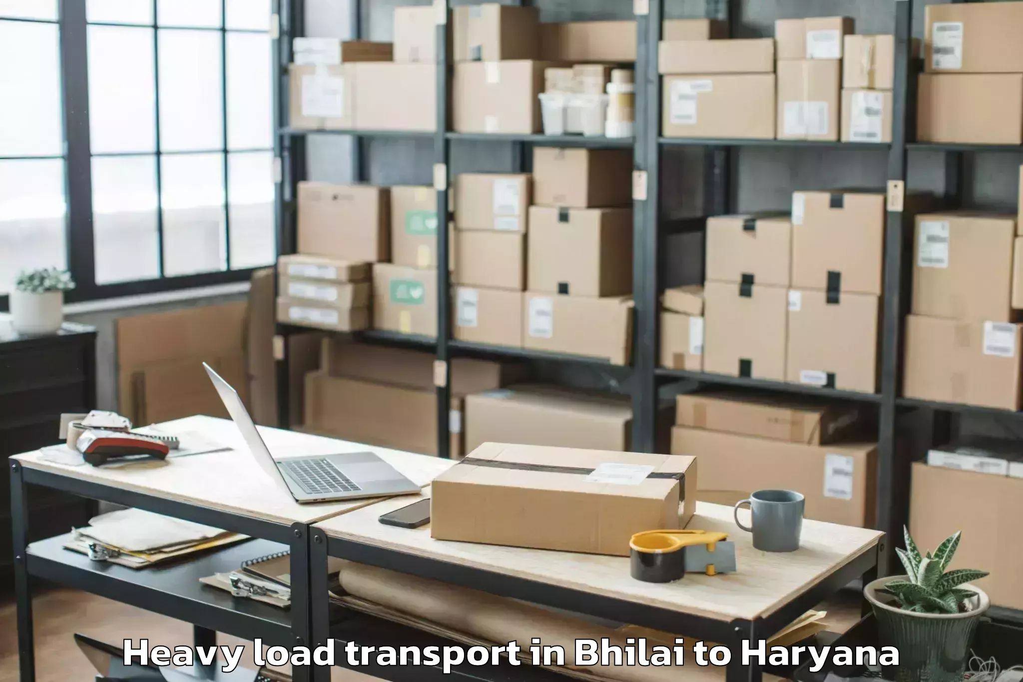 Comprehensive Bhilai to Abhilashi University Rohtak Heavy Load Transport